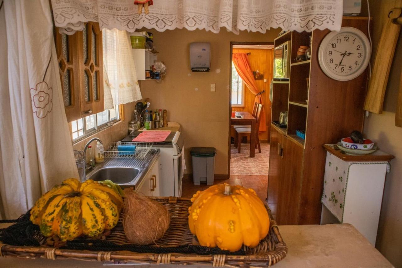 شقة La Huerta Vicuña المظهر الخارجي الصورة